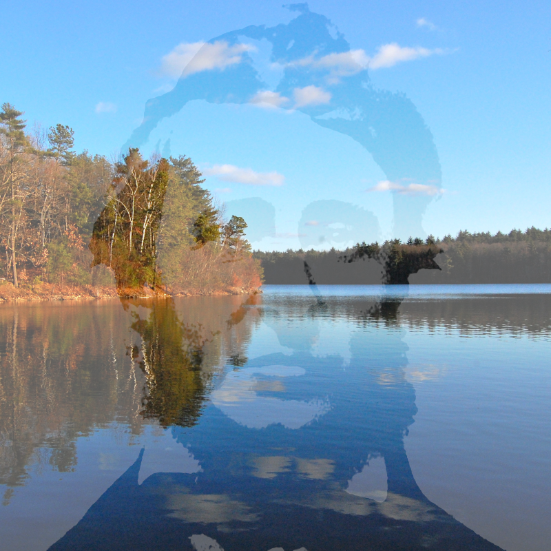 L'étang de Walden avec en surimpression le visage d'Henry Thoreau